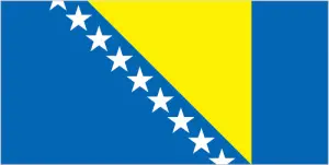 Bosnia and Herzegovina's flag