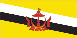 Brunei's flag