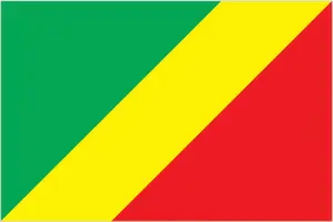 Congo's flag