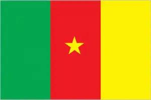 Cameroon's flag