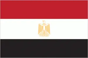 Egypt's flag