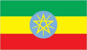 Ethiopia's flag