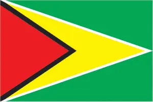 Guyana's flag