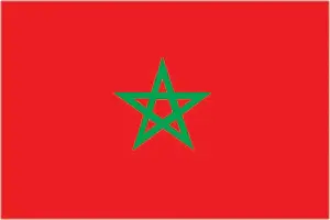 Morocco's flag