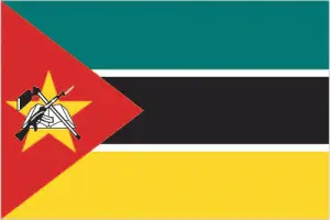 Mozambique's flag