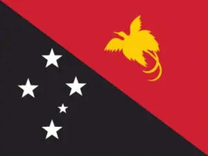 Papua New Guinea's flag