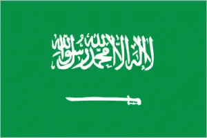 Saudi Arabia's flag