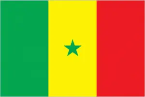 Senegal's flag