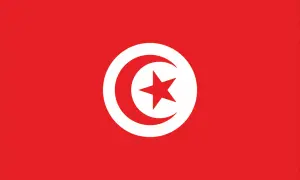 Tunisia's flag