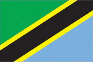 Tanzania's flag